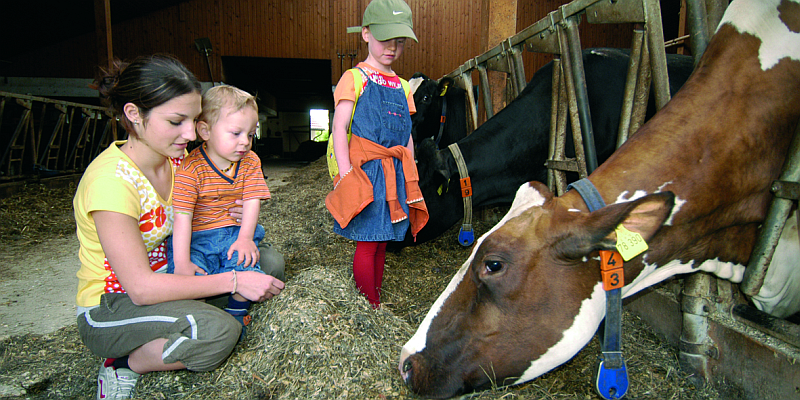 Landwirtschaft in Markdorf