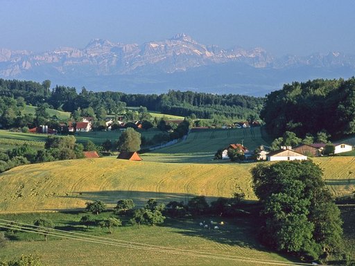 Alpenblick