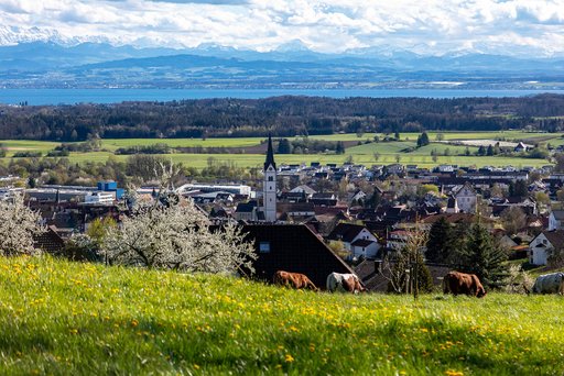 Stadtansicht
